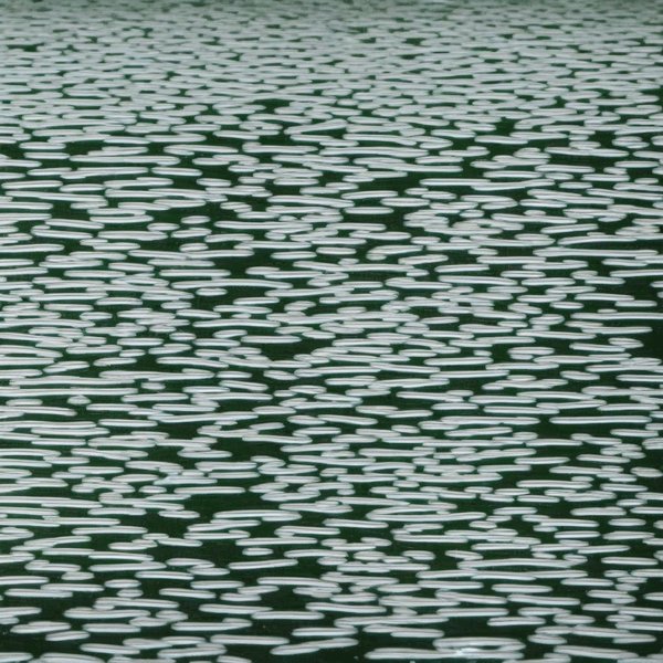 Quels sont les meilleurs moyens de réutiliser les eaux grises à la maison ?